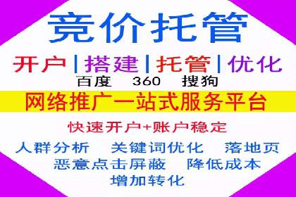 某知名品牌SEM运营策略及效果评估